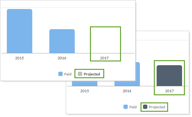 Projected Income Report